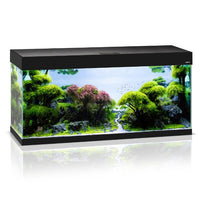 Aquarium Opti Set 240 Noir AQUAEL - 240L