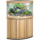 Aquarium Trigon 190 LED Chêne Équipé JUWEL - 190L