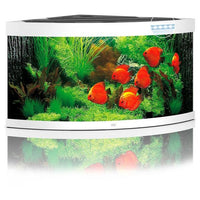 Aquarium Trigon 350 LED Blanc Équipé JUWEL - 350L