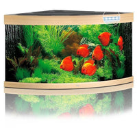 Aquarium Trigon 350 LED Chêne Équipé JUWEL - 350L