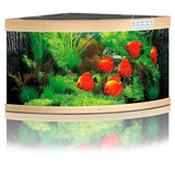 Aquarium Trigon 350 LED Chêne Équipé JUWEL - 350L