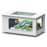 Aquatable 100 x 63 AQUATLANTIS Blanc - Aquarium Équipé 177 L