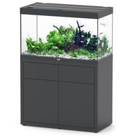 Sublime 100 x 50 AQUATLANTIS Gris Vésuve Laqué - Aquarium Equipé 246 L