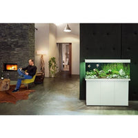 Aquarium Rio 240 LED Blanc Équipé JUWEL - 240L