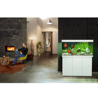 Aquarium Rio 350 LED Blanc Équipé JUWEL - 350L