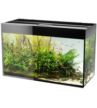 Aquarium Glossy 80 Day & Night Noir Laqué LED AQUAEL - 125L
