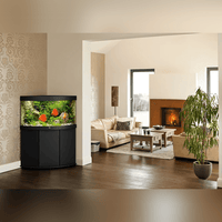 Aquarium Trigon 190 LED Noir Équipé JUWEL - 190L