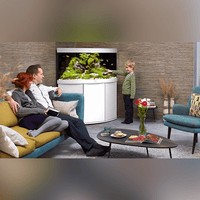 Aquarium Trigon 350 LED Blanc Équipé JUWEL - 350L