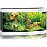 Aquarium Vision 260 LED Blanc Tout Équipé JUWEL - 260L