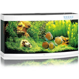Aquarium Vision 260 LED Blanc Tout Équipé JUWEL - 260L