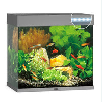 Aquarium Lido 120 LED Gris Équipé JUWEL - 120L