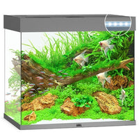 Aquarium Lido 200 LED Gris Équipé JUWEL - 200L