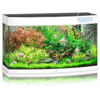 Aquarium Vision 180 LED Blanc Tout Équipé JUWEL - 180L