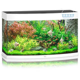 Aquarium Vision 180 LED Blanc Tout Équipé JUWEL - 180L