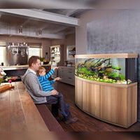 Aquarium Vision 450 LED Chêne Tout Équipé JUWEL - 450L