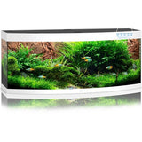 Aquarium Vision 450 LED Blanc Tout Équipé JUWEL - 450L