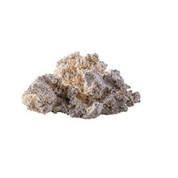 Roche Céramique Reef Back Plane Puzzle - 30 cm ARKA