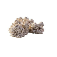 Roche Céramique Reef Back Plane Puzzle - 30 cm ARKA