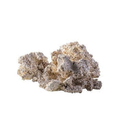 Roche Céramique Reef Back Plane Puzzle - 30 cm ARKA