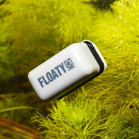 Aimant Anti-Algue Flottant JBL - Floaty Mini