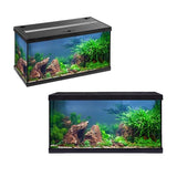 Aquarium AquaStar 54 LED Noir Équipé Eau Douce EHEIM - 54L