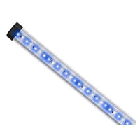 Aquarium AquaStar 63 LED Marin Noir Équipé Eau de Mer EHEIM - 63L