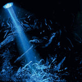 Bubble Air Spot Moon HOBBY - Spot LED bleu submersible