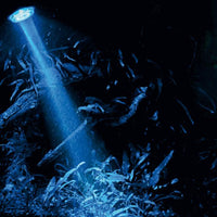 Bubble Air Spot Colour & Moon HOBBY - Spot LED multicolore et bleu submersible