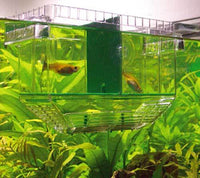 Pondoir Flottant Nido 1 - HOBBY