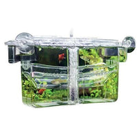 Pondoir Flottant Nido 4 - HOBBY