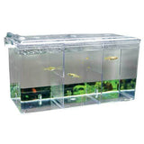 Pondoir Externe Nido 5 - HOBBY