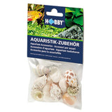 Sea Shells Set M HOBBY - Lot de 10 Coquillages Naturels