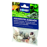 Sea Shells Set S HOBBY - Lot de 20 Coquillages Naturels