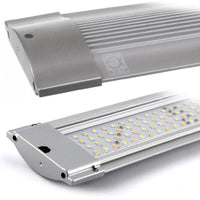 LED Solar Natur JBL - 37W pour Aquarium 75 à 100 cm