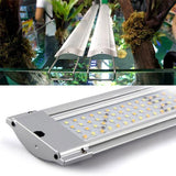 LED Solar Natur JBL - 24W pour Aquarium 55 à 80 cm