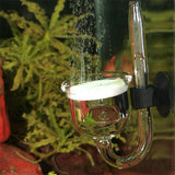 Taifun Glass Midi JBL ProFlora - Diffuseur de CO2 en verre