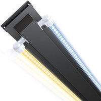 Aquarium Rio 240 LED Noir Équipé JUWEL - 240L