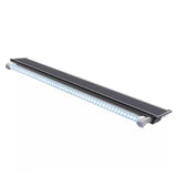 Aquarium Vision 180 LED Chêne Tout Équipé JUWEL - 180L