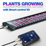 Rampe LED eau douce LICAH - LDP-2000