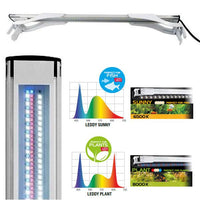 Éclairage LED Leddy Slim Duo Sunny & Plant AQUAEL - Blanc 16W