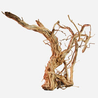 Racine Naturelle Legno Dragon Skin SM - 40 à 60cm AMTRA