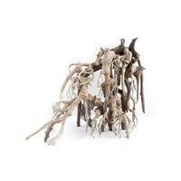 Racine Naturelle Legno Oriental Wind 1 SM - 22 cm AMTRA