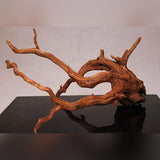 Racine Naturelle Legno Red Wood - 40 à 45cm AMTRA