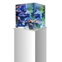 Cuve Nue Cube NanoScaping 25 AMTRA - 15L