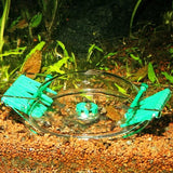 Piège à Escargot LimCollect JBL