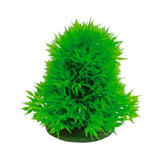 Plante Artificielle Japanese Lot de 6 AMTRA - 8 cm