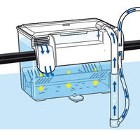 Pondoir Externe Wave Breeding Box L - Wave