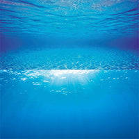 Poster de Fond Double Face Fonds Marins S - JUWEL 60 x 30 cm