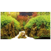 Poster de Fond Double Face Canyon / Woodland - HOBBY 120 x 50 cm