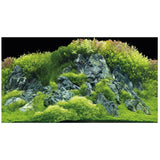 Poster de Fond Double Face Planted River / Green Rocks - HOBBY 120 x 50 cm